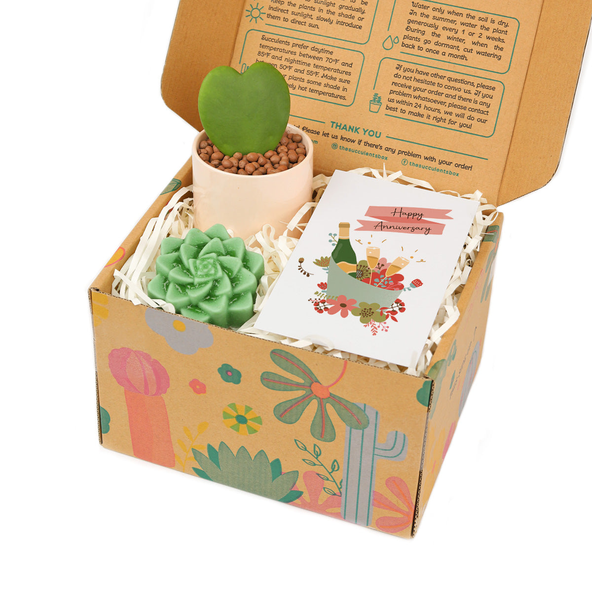 happy anniversary gift box, happy anniversary gift box for sale, happy anniversary gift idea, airplant gift box, succulent gift box for happy anniversary 2025