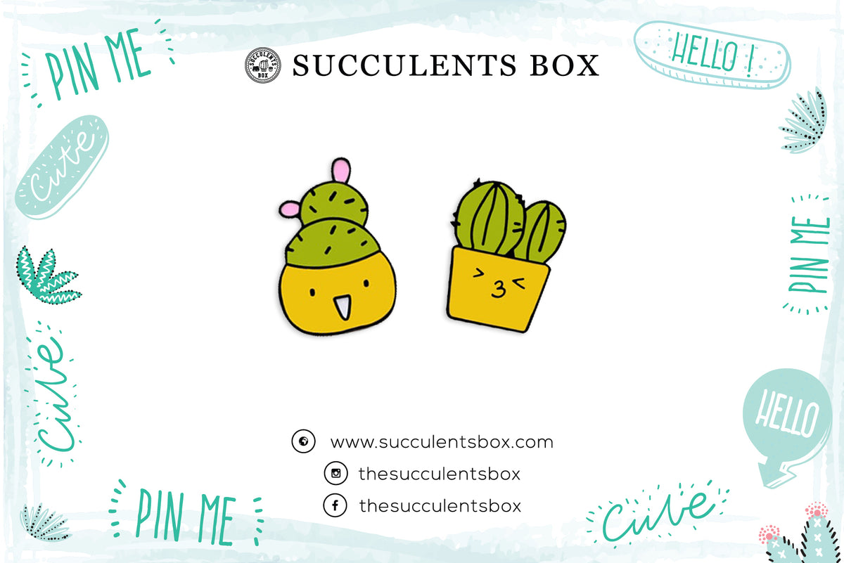 Cute Cactus Enamel Pin for sale, Prickly Pear pin, Metal Plated Lapel Pin, Succulent Pin Badge for sale, Cactus Gift Craft Ideas, cactus, cactus succulent, succulent cactus, cacti, cactus and succulents, succulents box, succulent shop, buy succulents online