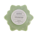 aloe succulent soap, organic succulent soap, natural succulent soap