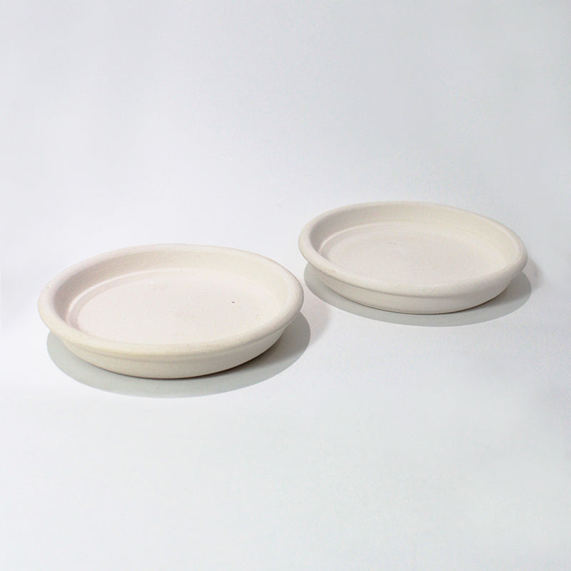 saucer for succulent pot, Succulents Box provides affordable options for basic terracotta saucers