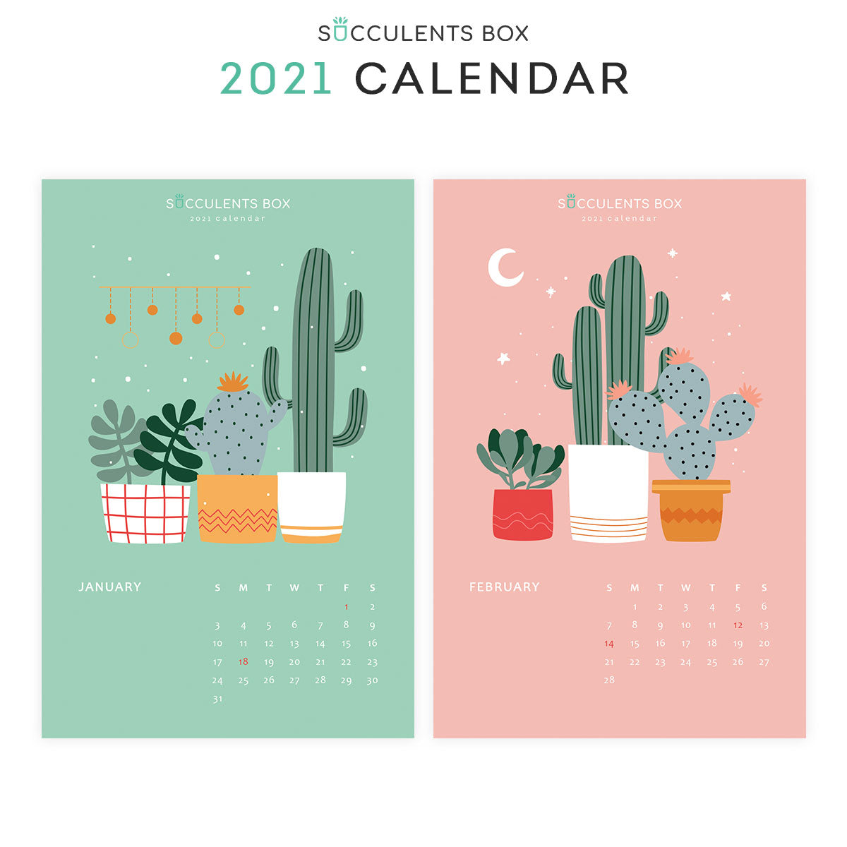Succulent Calendar 2021, Printable Monthly Cactus and Succulents Calendar, Cute office calendar, Modern office calendar decor, 2021 Succulents Wall Calendar, Nature Themed Home, Office -Housewarming Gift