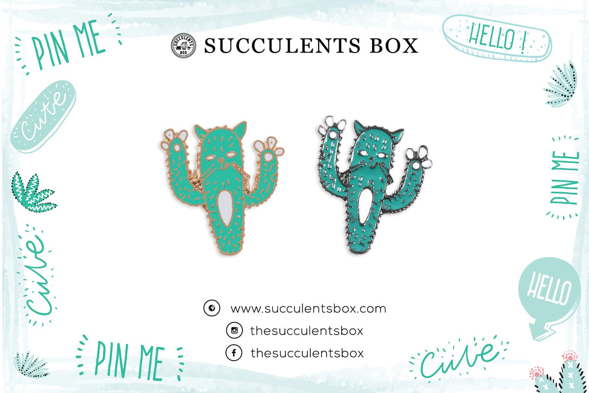 Cactus Cat Enamel Pin for sale, cat brooch for sale, cat cactus lovers, cactus gift box, succulents gift ideas, Gifts for cat lovers, Gifts for plant lovers, cactus, cactus succulent, succulent cactus, cacti, cactus and succulents, succulents box, succulent shop, buy succulents online