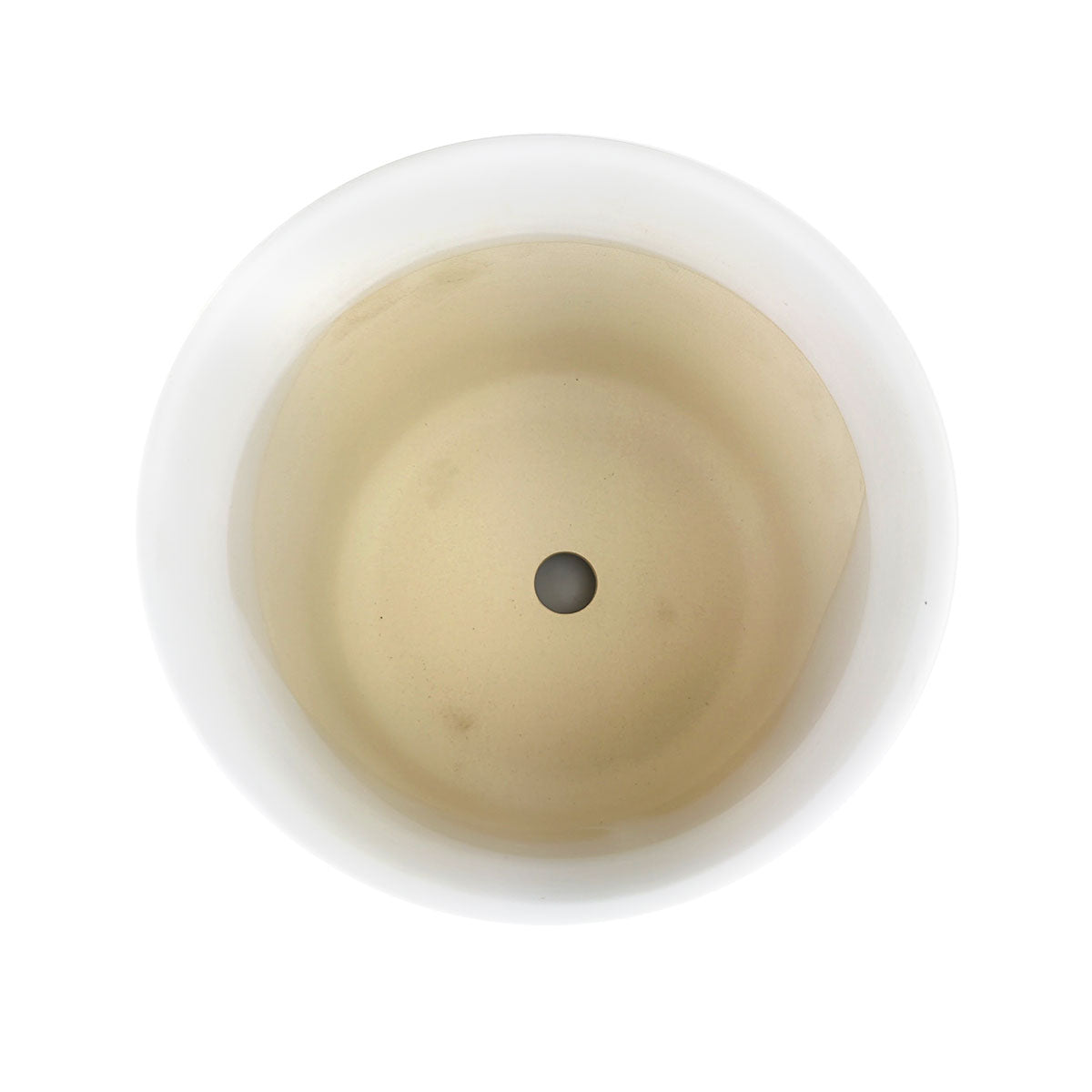 minimalist white cylinder pot with saucer, pot with drainage hole for medium houseplants, best pot for succulents and houseplants