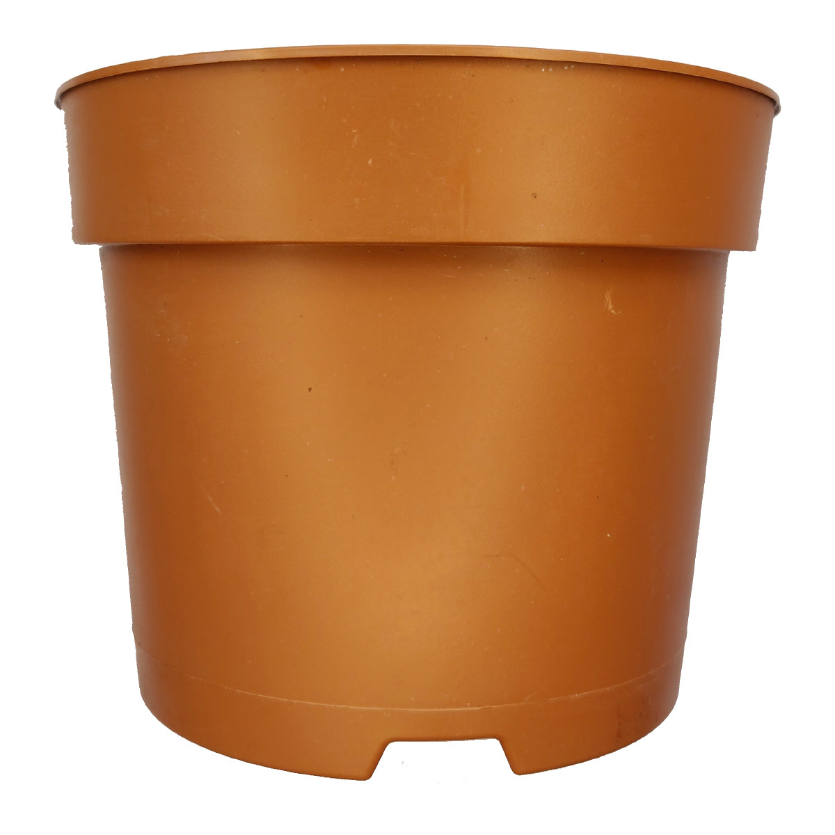 plastic plant starter pots 6 Inch Round Plastic Pot | Greenhouse and Nursery Pot | Starter Pots for Seedlings