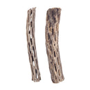 6 inch Staghorn Cholla Wood Pot for sale, Cholla for Aquariums, Crafting, Air Plants, and more, Natural Cholla Cactus Wood for sale, Air Plant display