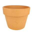 6 inch terracotta pot with drainage hole for succulent and houseplant, live plant pot ideas