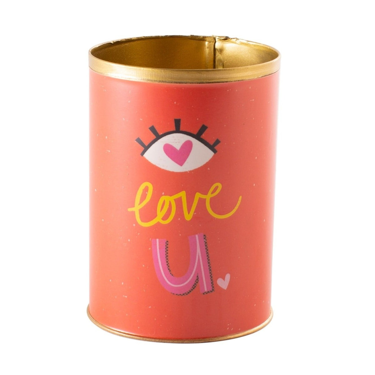 punny tin can for sale, tin pot for succulent and cactus, Valentine's day gift ideas, succulent gift ideas, funny pot for sale, Valentine gift for your lover