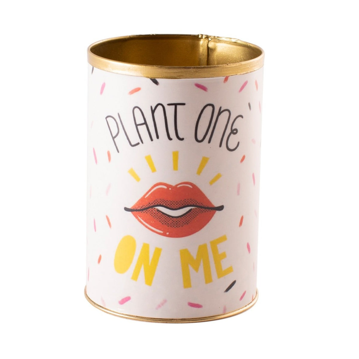 punny tin can for sale, tin pot for succulent and cactus, Valentine's day gift ideas, succulent gift ideas, funny pot for sale, Valentine gift for your lover