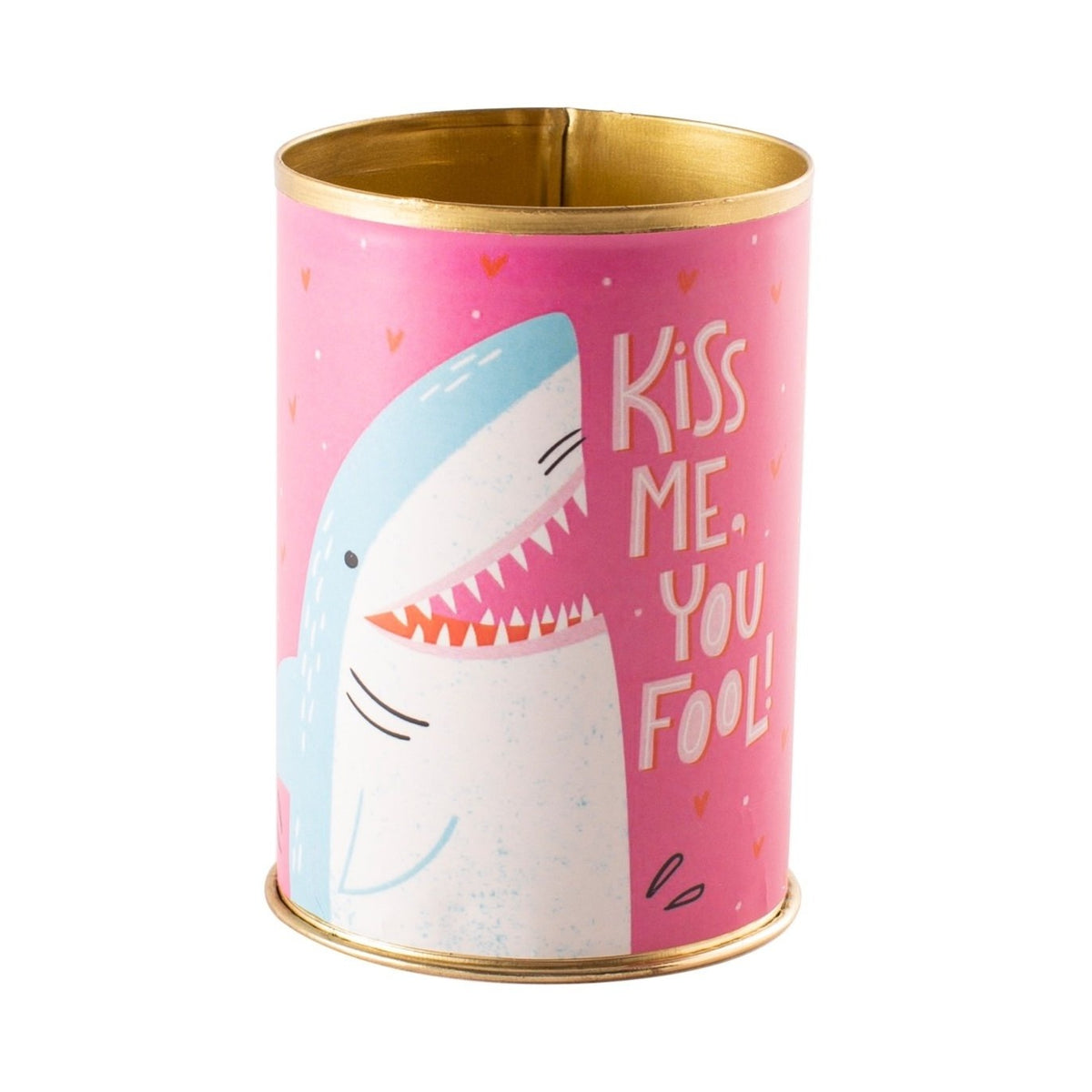 punny tin can for sale, tin pot for succulent and cactus, Valentine's day gift ideas, succulent gift ideas, funny pot for sale, Valentine gift for your lover