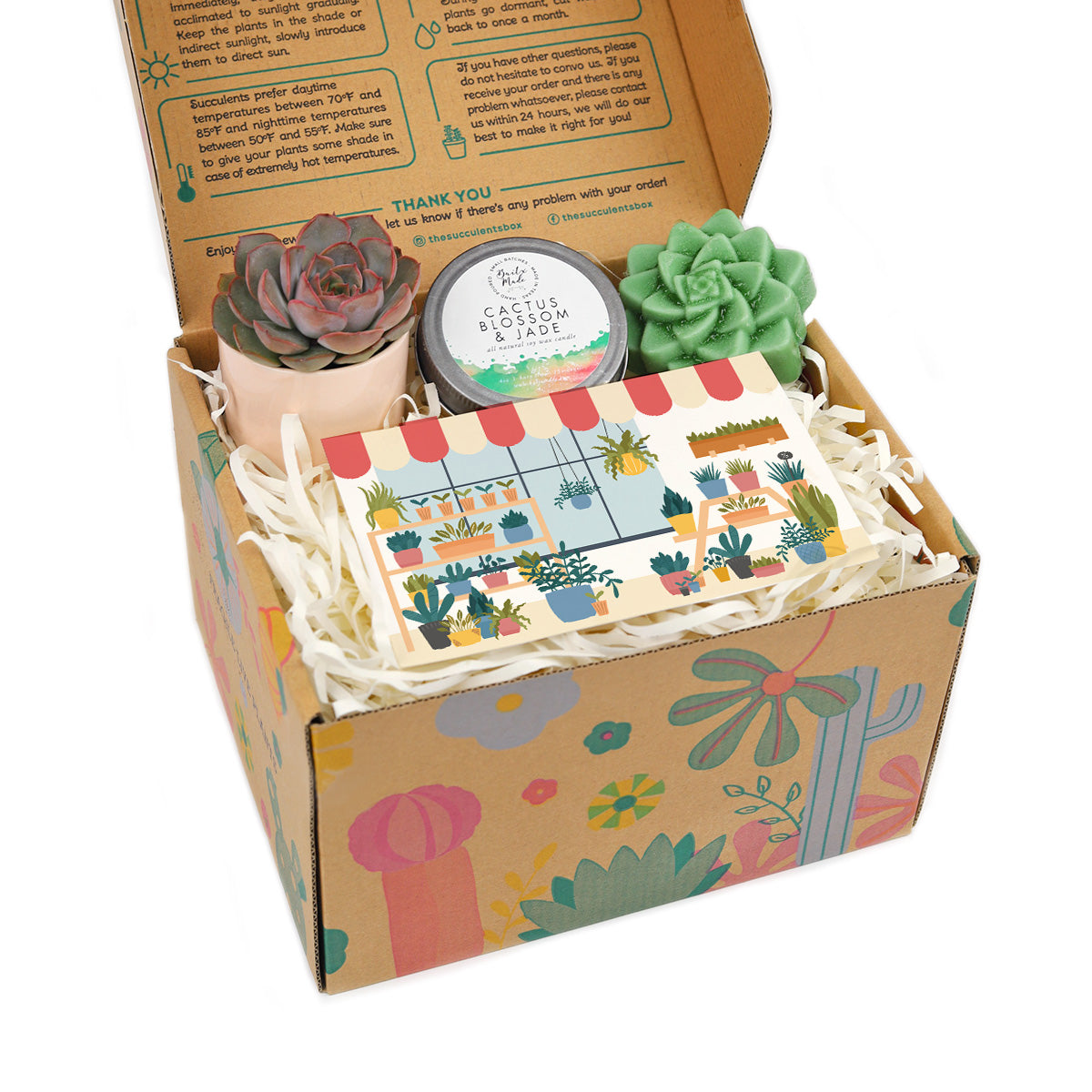 succulent gift box, gift box for women, small gift box, surprise gift box, best friend gift box ideas, the gift box, birthday gift box for her, graduation gift box, best friend gift box, thank you gift box, custom gift box 2025