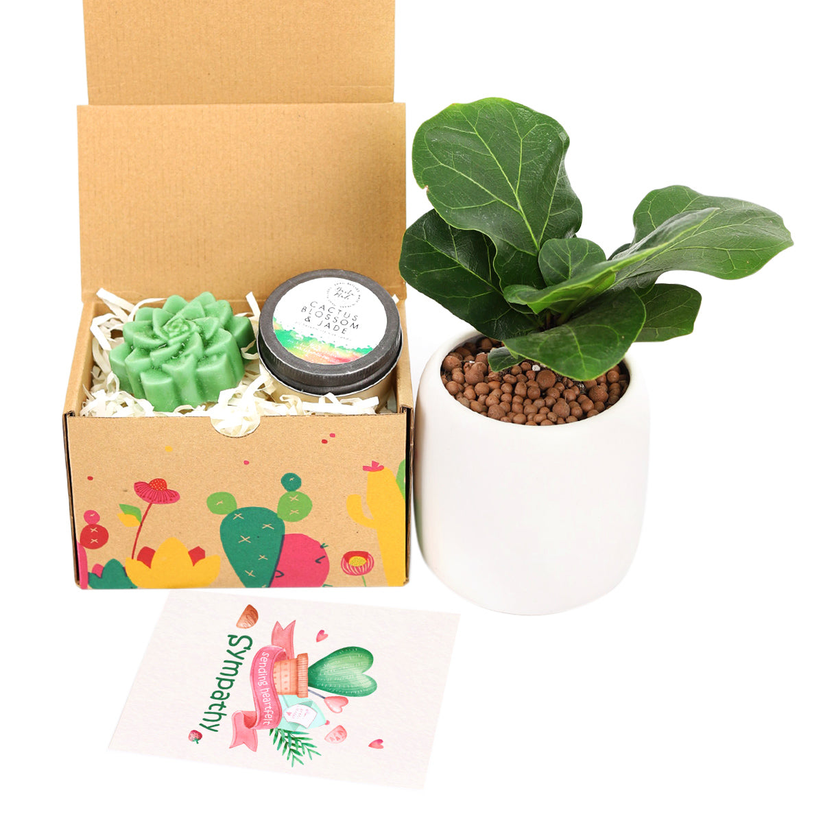 sympathy gift box, sympathy gift box ideas, buy sympathy gift box online 2025