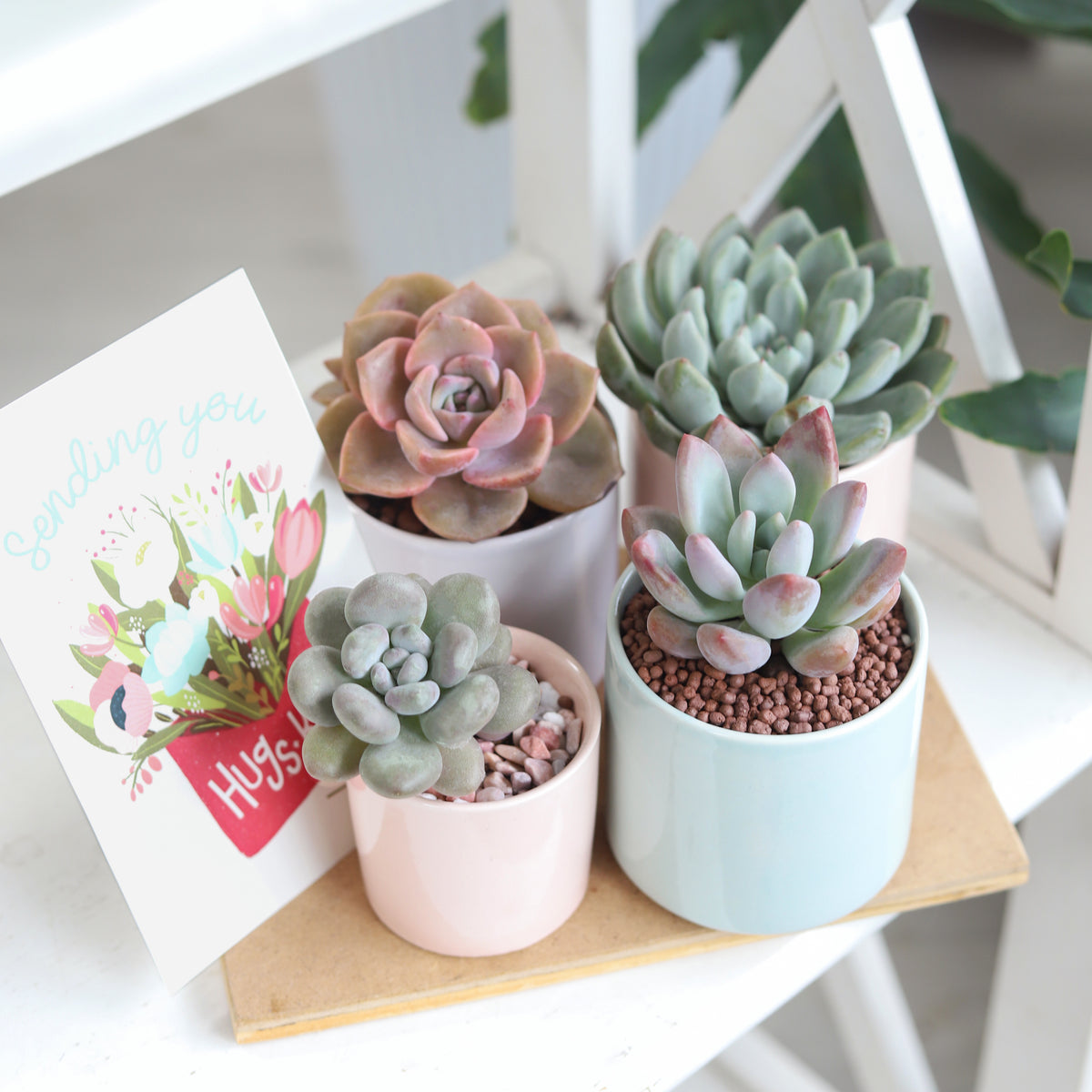 A Set of three modern cylinder pots is the perfect gift for any plant lover, Decorative pots perfect to add a touch of style to your home or office