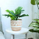Geometric terracotta planter pot 6 inch size, Houseplant clay pot decor ideas