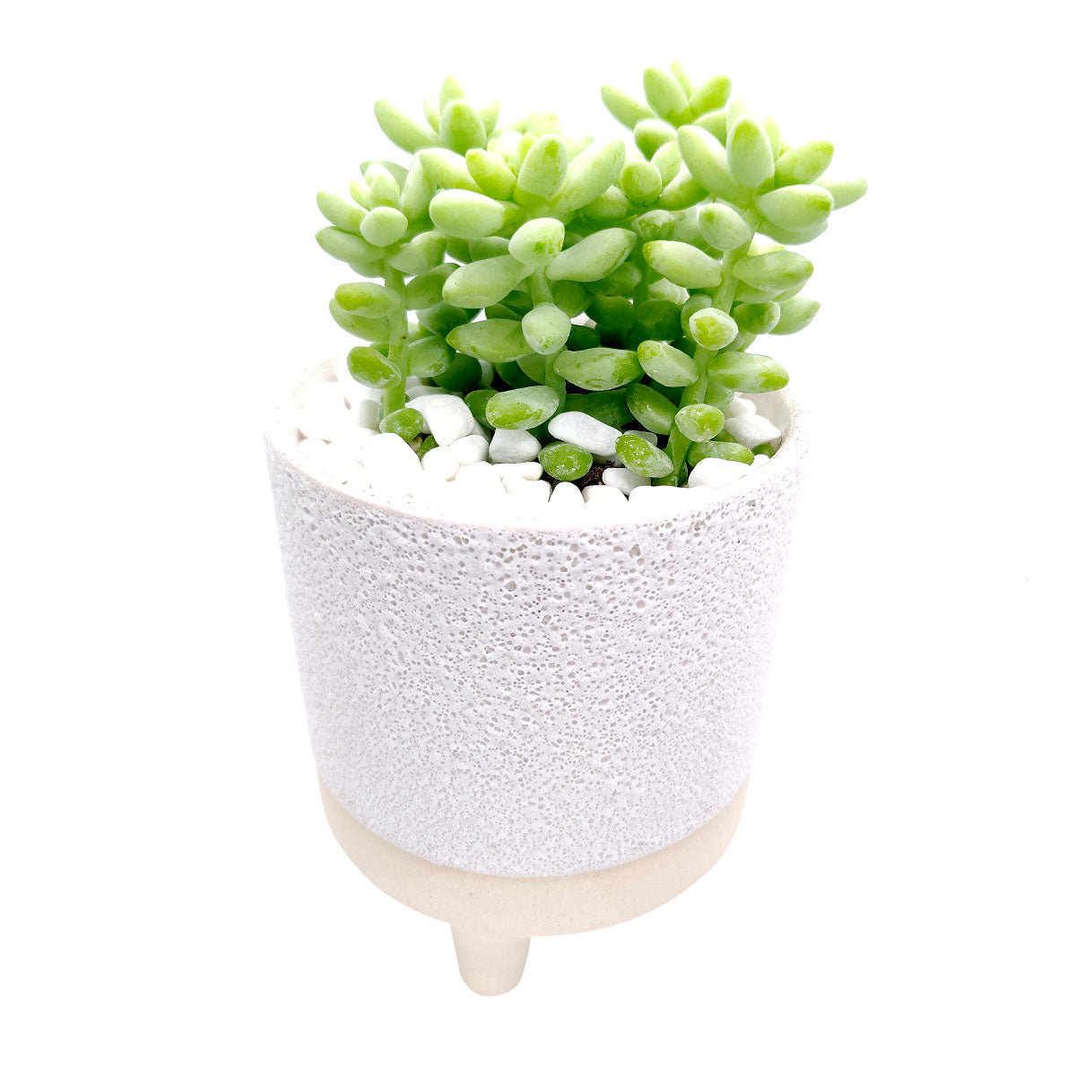4 inch Bubbled Ceramic Footed Pot for sale, Designed Ceramic pot for succulent and cactus, small flower pot, Succulent pot decor ideas, succulent gift ideas