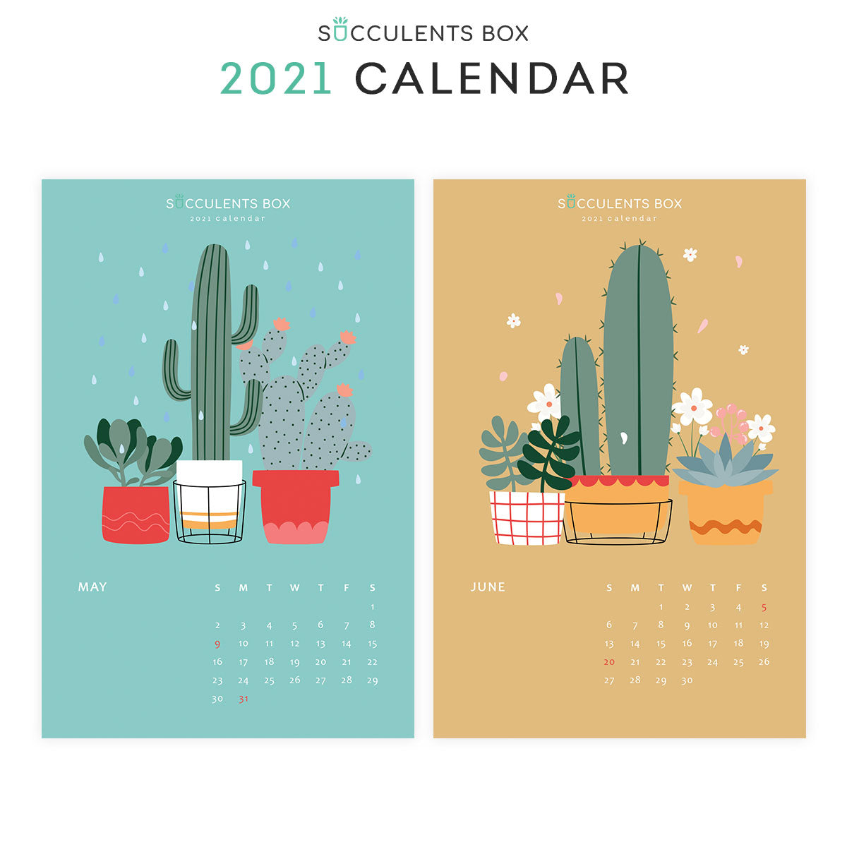 succulent wall calendar 2021 Monthly Succulent Colorful Calendar | Free Printable 2021 Plants Download