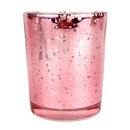 Pink Mini Sparkly Pot for Air Plant