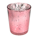 Pink Mini Sparkly Pot for Air Plant