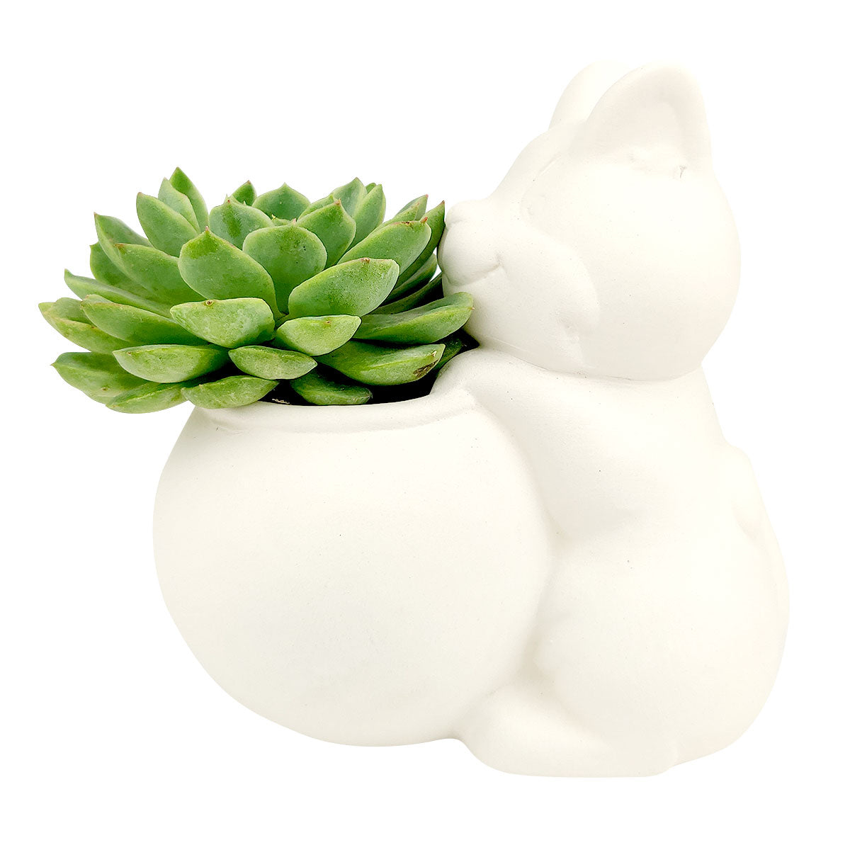 DIY Ceramic Kitty Pot for sale, White Ceramic Cat Planter Pot, Unique Succulent Gift, craft supplies, cat shaped planter pot, succulent pot plant pot DIY pot