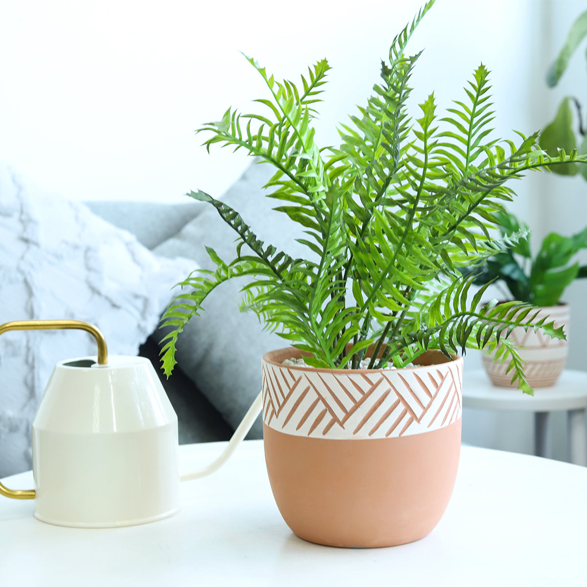 clay plant pots for sale 5.5 inch Clay-White Color Modern Pot for Sale - Terracotta Pot for Succulents