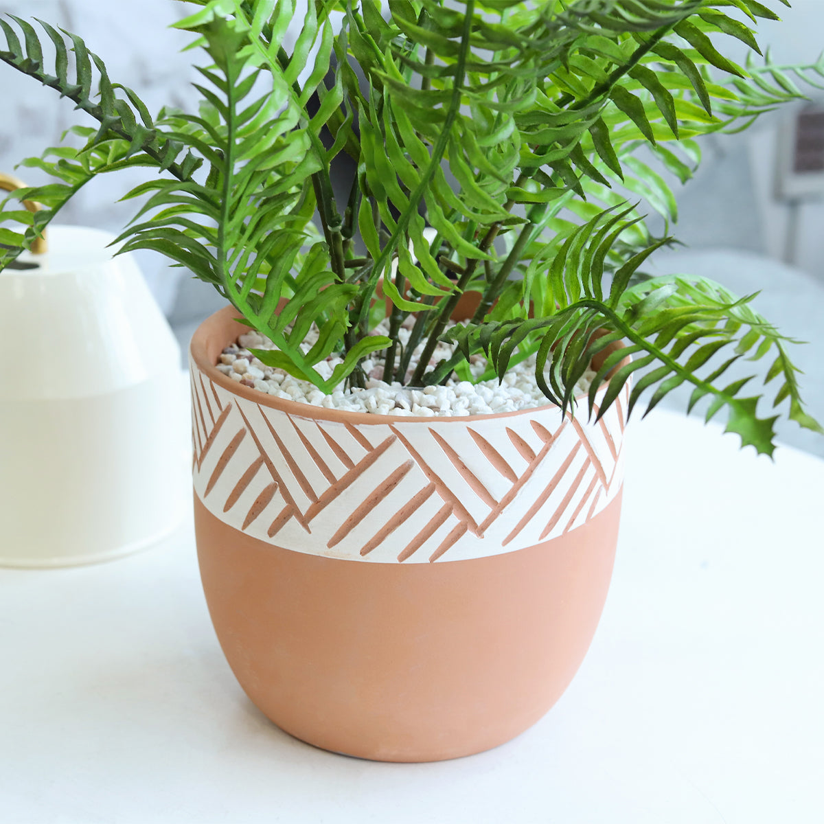 clay plant pots for sale 5.5 inch Clay-White Color Modern Pot for Sale - Terracotta Pot for Succulents