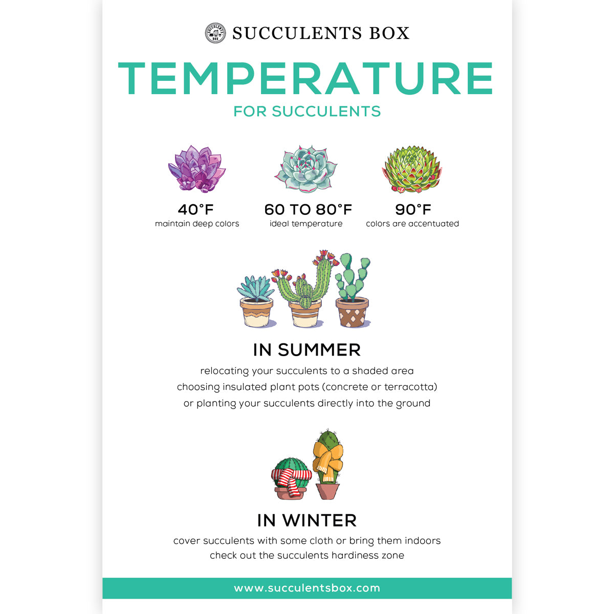 Temperature for Succulents card for sale, How to care for succulent plants, Succulent gift ideas