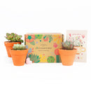Succulents for Sale, Types of Succulents, Succulents Shop in California, Succulents and Cactus Plants, Cactus Box, Subscription Box with Care Instruction, Succulent Subscription Box