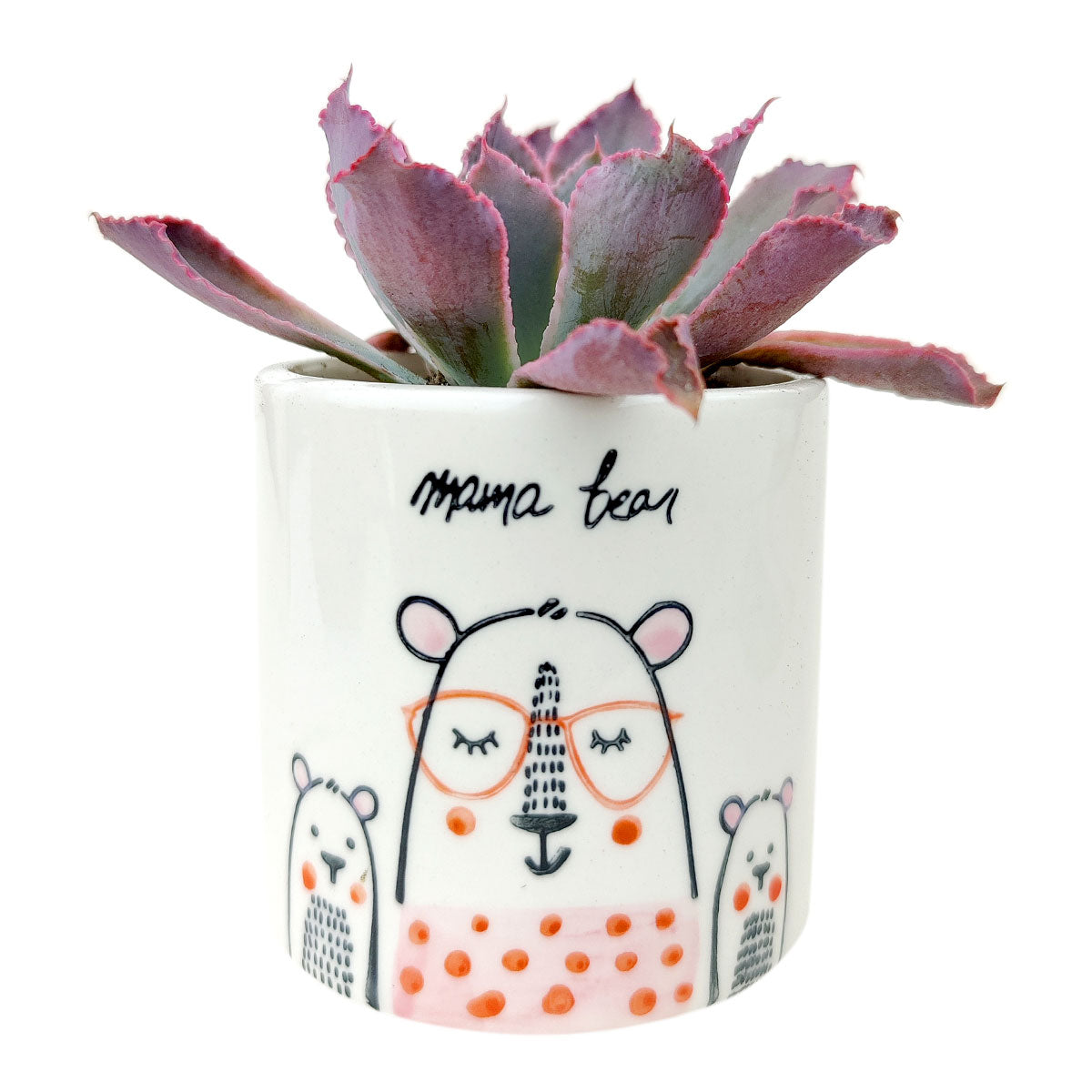 Mama Bear Pot for sale, Ceramic Pot for succulents and flowers, Modern style flower pot for sale, Succulent gift decor ideas