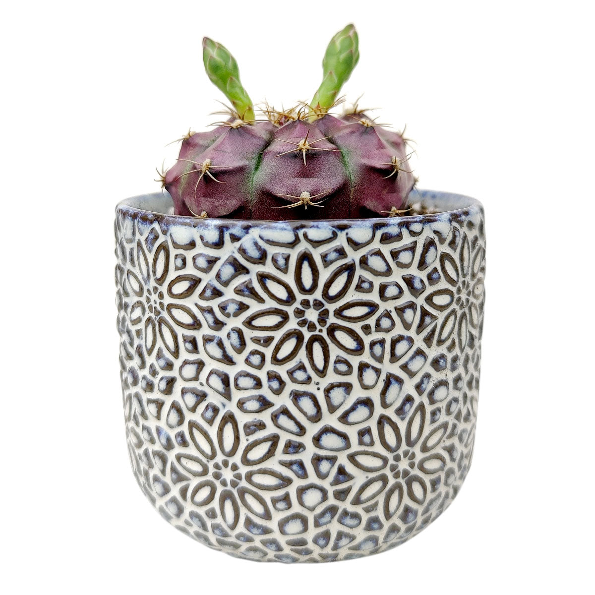 Geometric Floral Pot for sale, Ceramic Pot for succulents and flowers, Modern style flower pot for sale, Succulent gift decor ideas