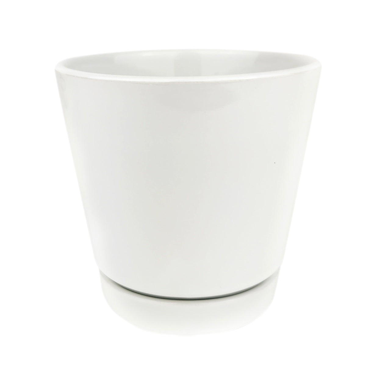 white modern pot, minimalist pot for succulents and houseplants, pot with drainage hole and saucer