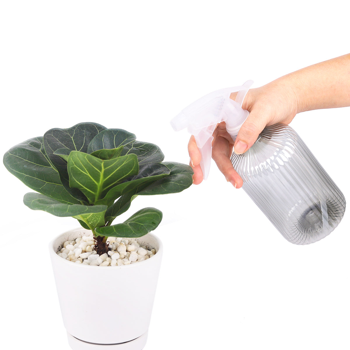 plastic plant mister Black Plant Spray Bottle - Handy Gardening Tools - Plastic Mister