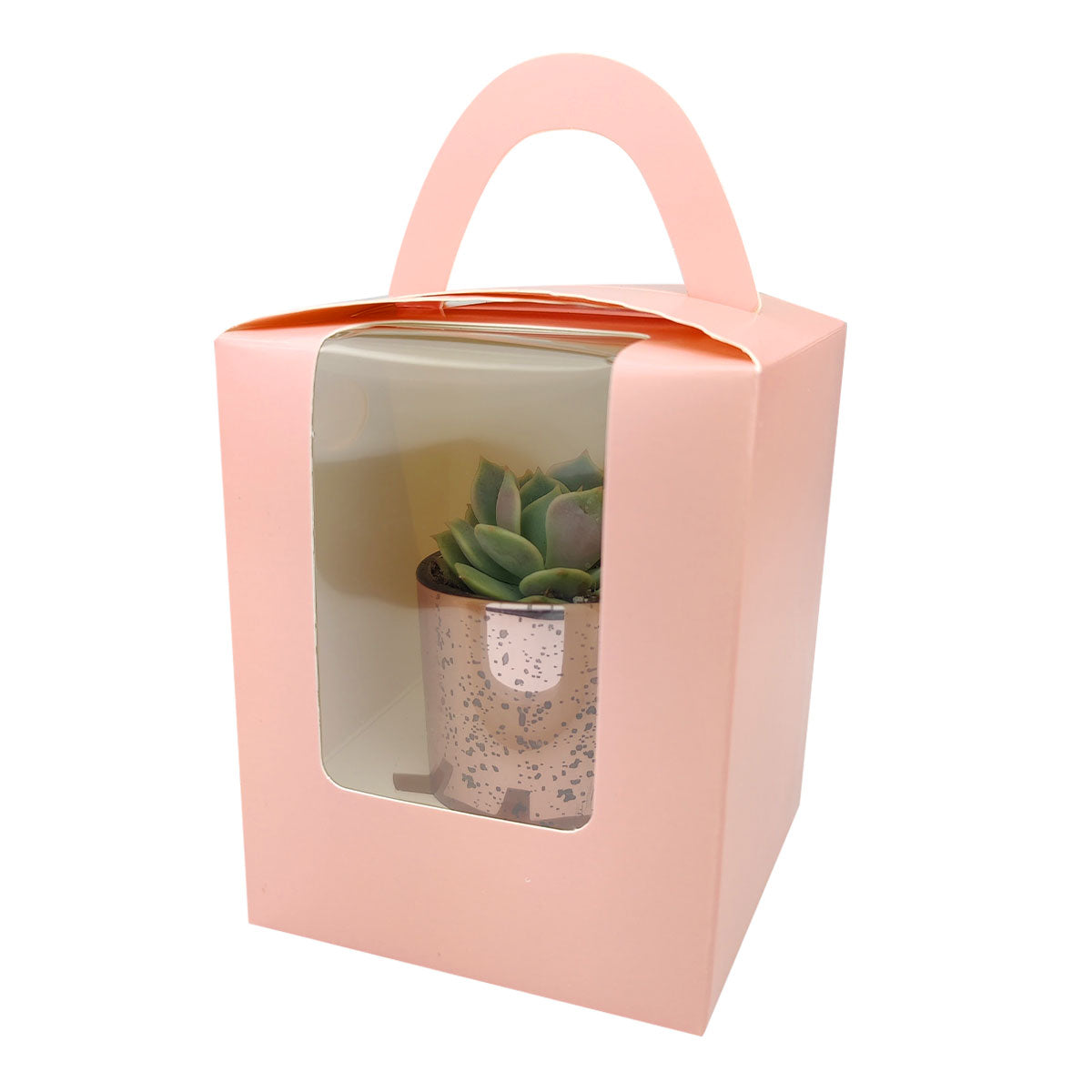 gift bags for potted plants Plant Carrier Bag with Handle - Perfect for Party Favors, Wedding, Gifts