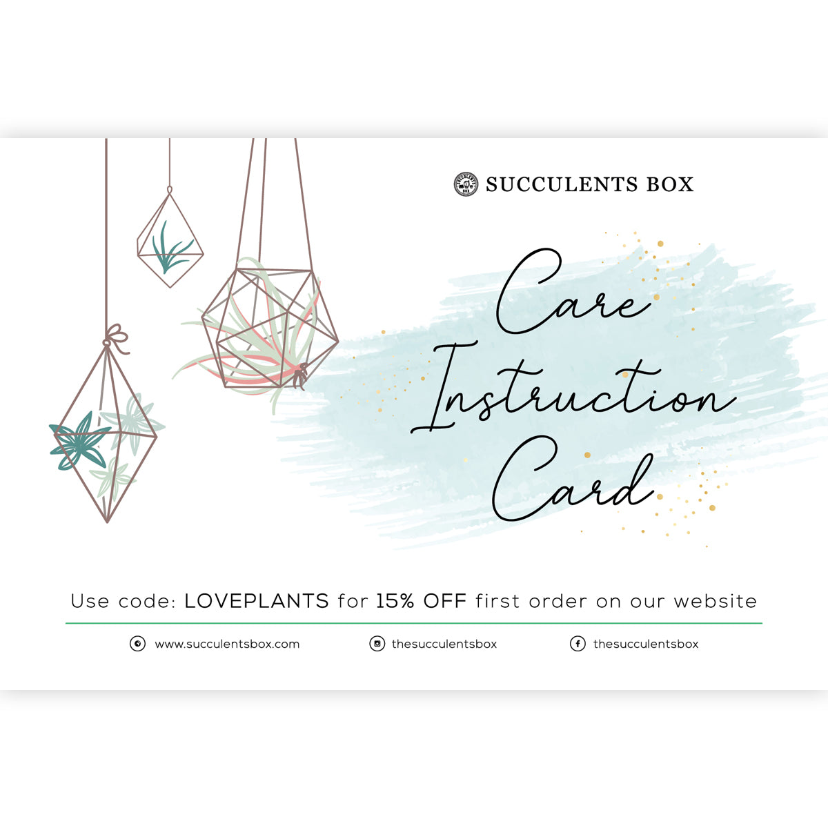 air plant care instructions pdf Airplant Care Card | How to care for Tillandsia Air Plants | Air Plants Care Guide