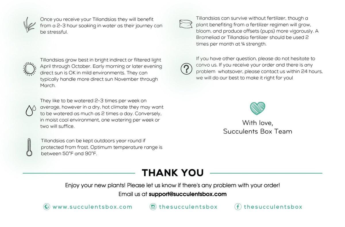 Airplant Care Card for sale, Air Plants Care Guide, How to care for Tillandsia air plants