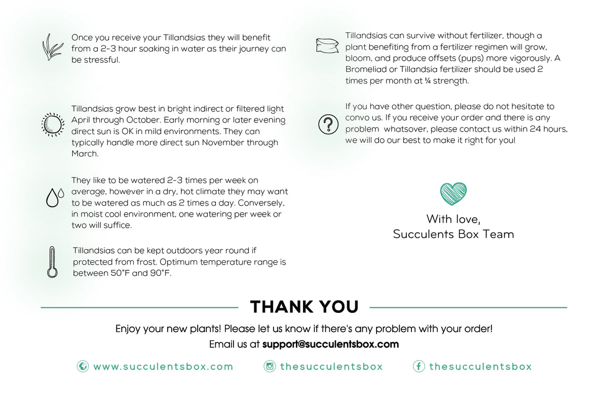 Airplant Care Card for sale, Air Plants Care Guide, How to care for Tillandsia air plants