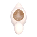 Choose the right pot material for your succulents