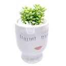 Hand-painted Pretty Lady Face Pot for sale, 4 inch pot for cactus and succulent plant, unique Artistic Lady Face Pots, modern home decor ideas, small ceramic pot for succulent, succulent gift ideas for women