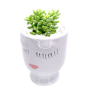 Hand-painted Pretty Lady Face Pot for sale, 4 inch pot for cactus and succulent plant, unique Artistic Lady Face Pots, modern home decor ideas, small ceramic pot for succulent, succulent gift ideas for women