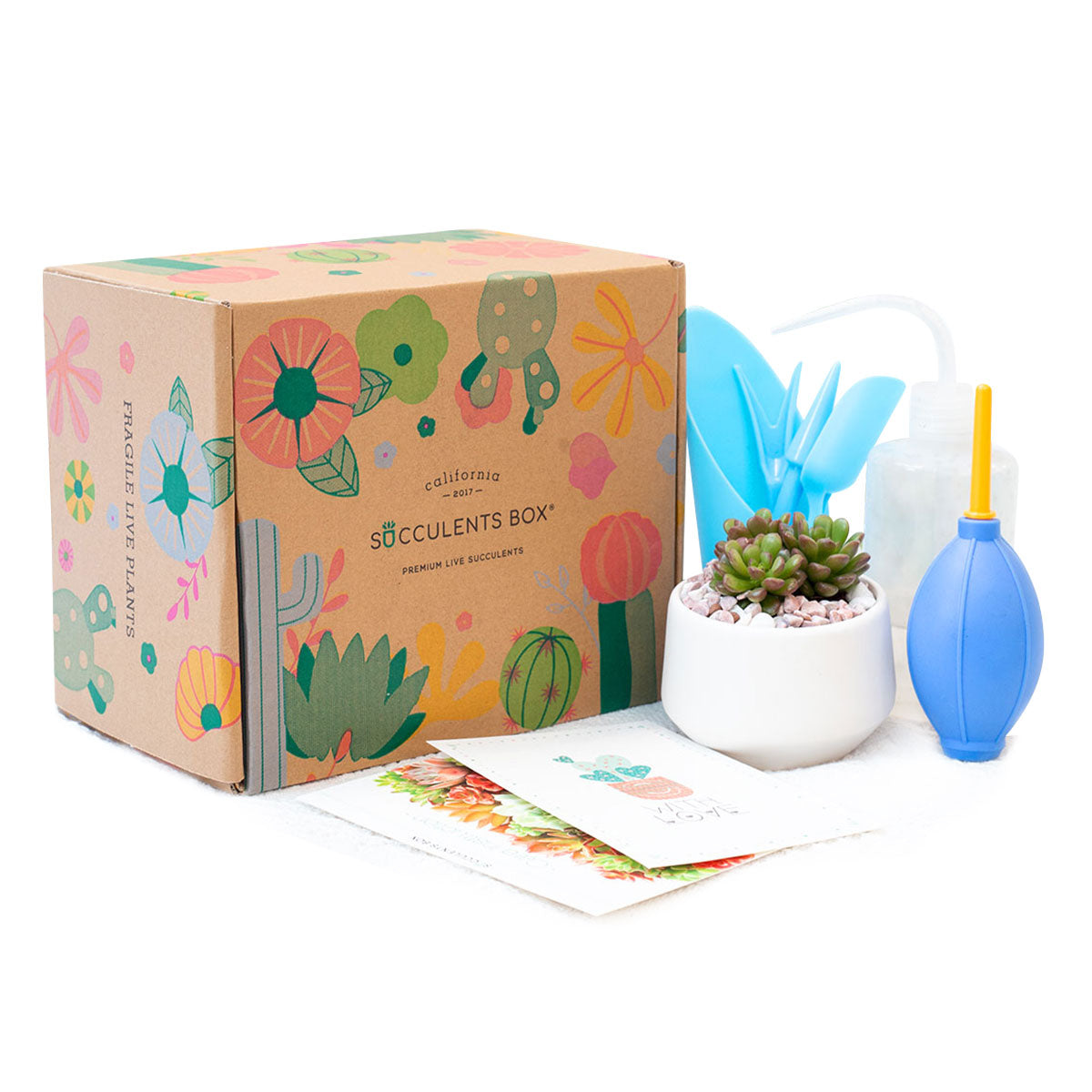 Beginner Kit Gift Box for sale, Succulent Starter Kit, Succulent Kit for Beginner, Best Succulent Gift for Beginner, Succulent Beginner Kit, EcoFriendly Succulent Gift Box for Employee, Corporate Gift Succulents For Sale Online, Father&#39;s Day Gift Box, Father&#39;s Day Gift Box Ideas, Plant Dad Gifts, Gifts for Dad, Father&#39;s Day Gifts Delivery 2022, Plant Gifts for Men, Happy Father&#39;s Day Gift, Succulent Gift for Men, Thank You Gift Dad, Appreciation Gift for Dad