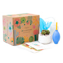 How to use gardening tool kit for growing succulent plants