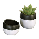 Black White Planter