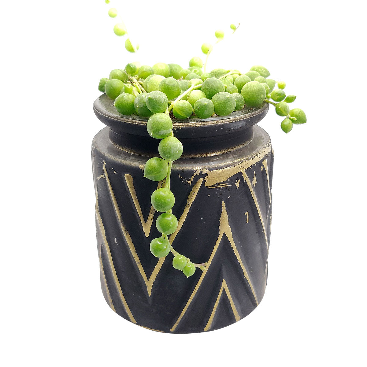 Pot for sale, Mini pot for succulent, Succulent pot decor ideas, Black Chevron Pattern pot, Flower pot for sale, glass pots for planting, succulent gift for holiday