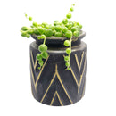 Pot for sale, Mini pot for succulent, Succulent pot decor ideas, Chevron Pattern pot pack, Flower pot for sale, glass pots for planting, succulent gift for holiday