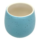 Blue Egg Pot for sale, Blue Elegant Plain Ceramic Pot for sale, Mini ceramic pot for succulents and cacti, Modern design pot, Succulent and cactus pots for sale, Succulent gift decor ideas, Elegant flower pots