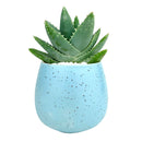 Blue Egg Pot for sale, Blue Elegant Plain Ceramic Pot for sale, Mini ceramic pot for succulents and cacti, Modern design pot, Succulent and cactus pots for sale, Succulent gift decor ideas, Elegant flower pots
