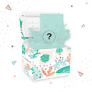 Mystery Succulent Box for sale, Surprise Box, Premium succulent gift box, Gift box for succulent lovers
