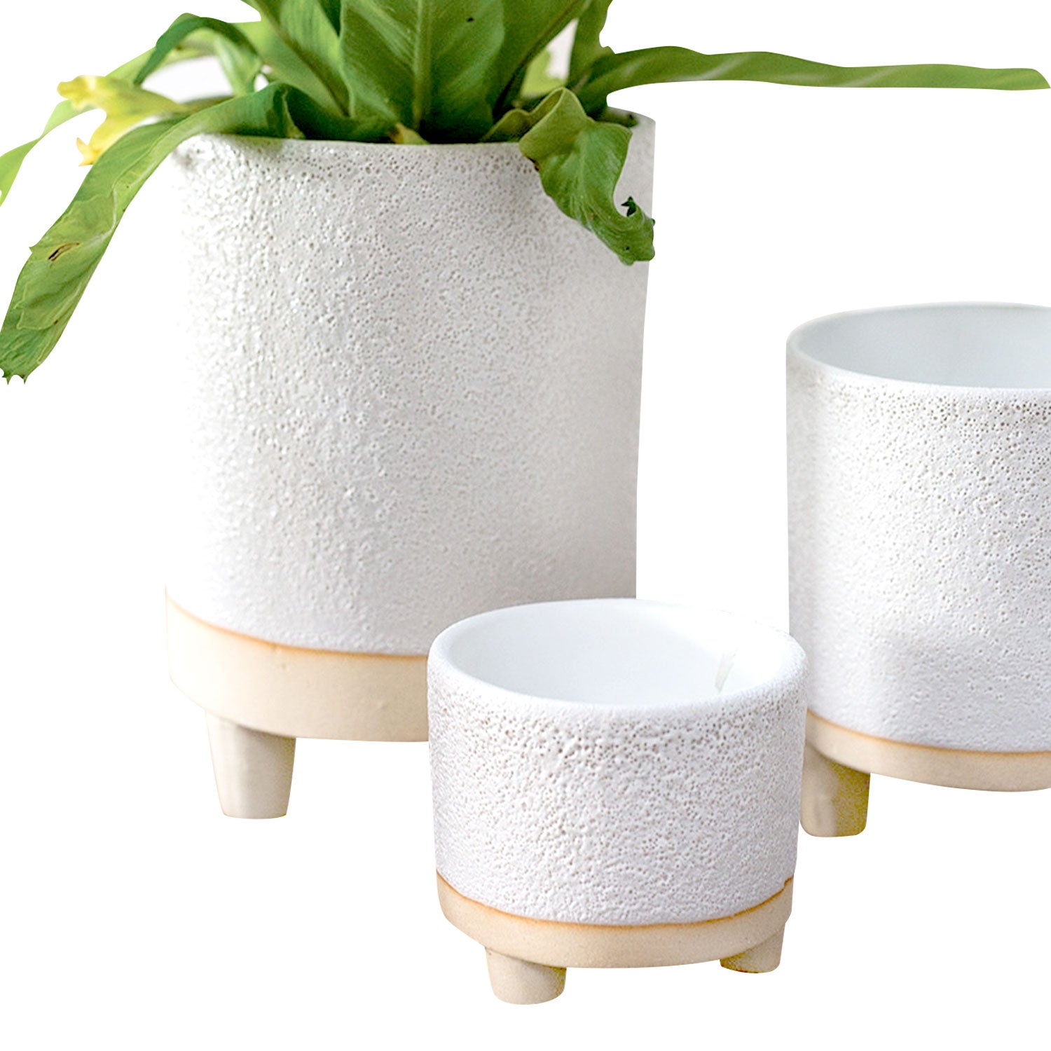 2.5 inch pots for succulents 2 inch Bubbled Ceramic Footed Pot | Small Pot for Cactus & Succulent Plant