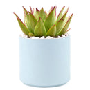 Blue Modern Cylinder Pot