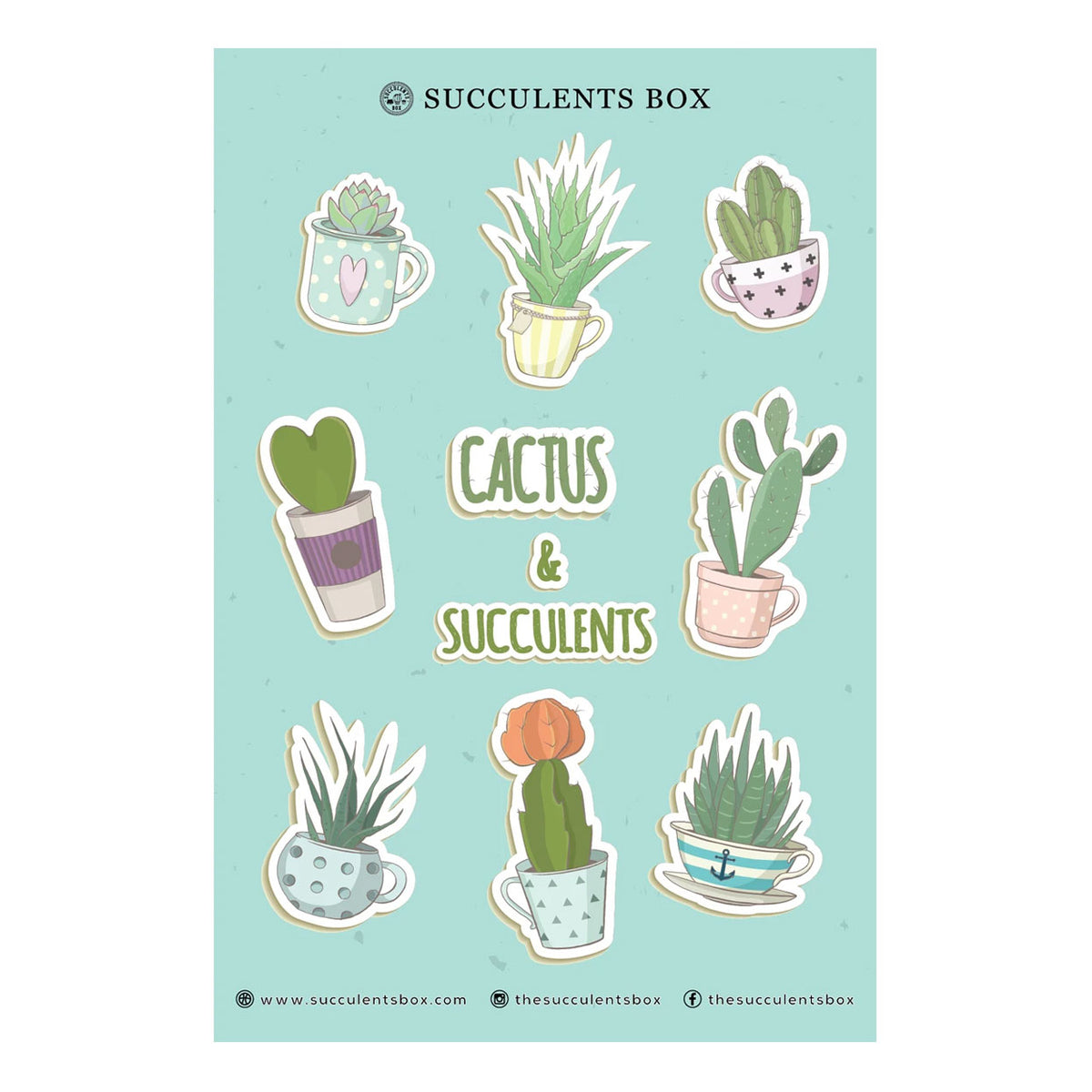 Cactus &amp; Succulents Sticker for sale, Cute Potted Succulent Sticker, Happy Succulent Planner Sticker, Laptop Sticker for sale, Water Bottle Sticker for sale, cactus, cactus succulent, succulent cactus, cacti, cactus and succulents, succulents box, succulent shop, buy succulents online