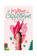 Christmas Cards 2023, Holiday Cards, Personalized Christmas cards 2023, Unique Christmas Cards by Succulents Box, The best places to buy holiday cards online in 2023, Christmas Succulents, Christmas Succulent Plants, Succulents for Christmas Ideas in 2023, Succulent Christmas Decorations, Succulent Christmas Gift Ideas, Christmas Gift Ideas for Succulent Lovers, Holiday Succulent Planter, Holiday Decorating with Succulents