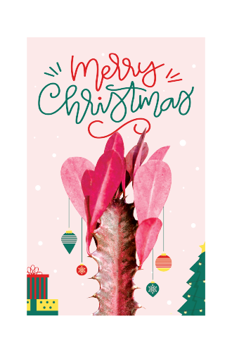 Merry Christmas Card